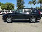 2025 CR-V Thumbnail 6