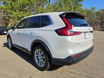 2024 CR-V Thumbnail 1