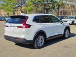 2024 CR-V Thumbnail 3