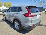 2024 CR-V Thumbnail 1
