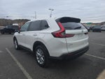 2024 CR-V Thumbnail 6