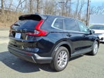2024 CR-V Thumbnail 6