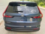 2024 CR-V Thumbnail 7
