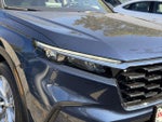 2024 CR-V Thumbnail 8