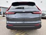 2024 CR-V Thumbnail 6