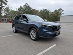 2025 CR-V Thumbnail 4