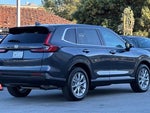2026 CR-V Thumbnail 3