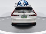 2024 CR-V Thumbnail 8