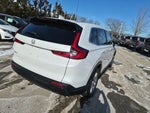 2023 CR-V Thumbnail 8