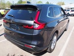 2025 CR-V Thumbnail 7