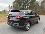 2025 CR-V Thumbnail 5