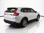 2025 CR-V Thumbnail 5