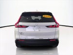 2025 CR-V Thumbnail 6