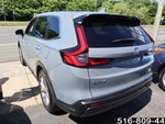 2025 CR-V Thumbnail 6