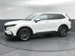 2026 CR-V Thumbnail 4