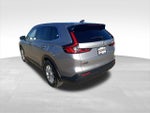 2023 CR-V Thumbnail 6