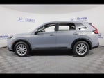 2025 CR-V Thumbnail 4