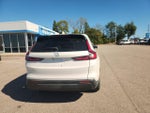 2025 CR-V Thumbnail 11