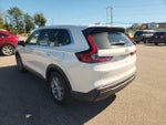 2025 CR-V Thumbnail 12