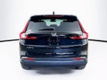 2025 CR-V Thumbnail 5