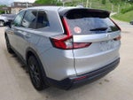 2026 CR-V Thumbnail 7