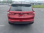 2026 CR-V Thumbnail 7