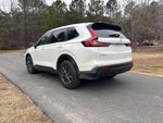 2026 CR-V Thumbnail 11