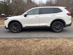 2026 CR-V Thumbnail 12