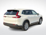 2024 CR-V Thumbnail 8