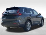 2024 CR-V Thumbnail 6