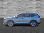 2024 CR-V Thumbnail 6
