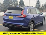 2023 CR-V Thumbnail 6