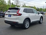 2024 CR-V Thumbnail 6