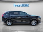 2024 CR-V Thumbnail 4