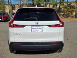 2025 CR-V Thumbnail 4