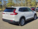 2025 CR-V Thumbnail 5