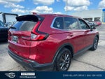 2026 CR-V Thumbnail 8