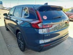 2026 CR-V Thumbnail 7
