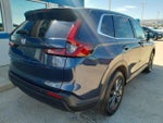 2026 CR-V Thumbnail 8