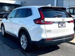 2024 CR-V Thumbnail 3