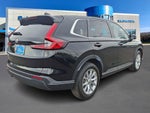 2024 CR-V Thumbnail 6