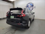 2024 CR-V Thumbnail 8