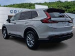 2025 CR-V Thumbnail 4