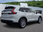 2025 CR-V Thumbnail 6