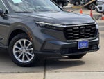 2025 CR-V Thumbnail 2