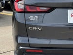 2025 CR-V Thumbnail 7