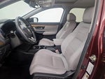 2019 CR-V Thumbnail 11