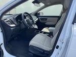 2020 CR-V Thumbnail 10