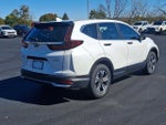 2020 CR-V Thumbnail 6