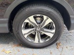 2021 CR-V Thumbnail 6